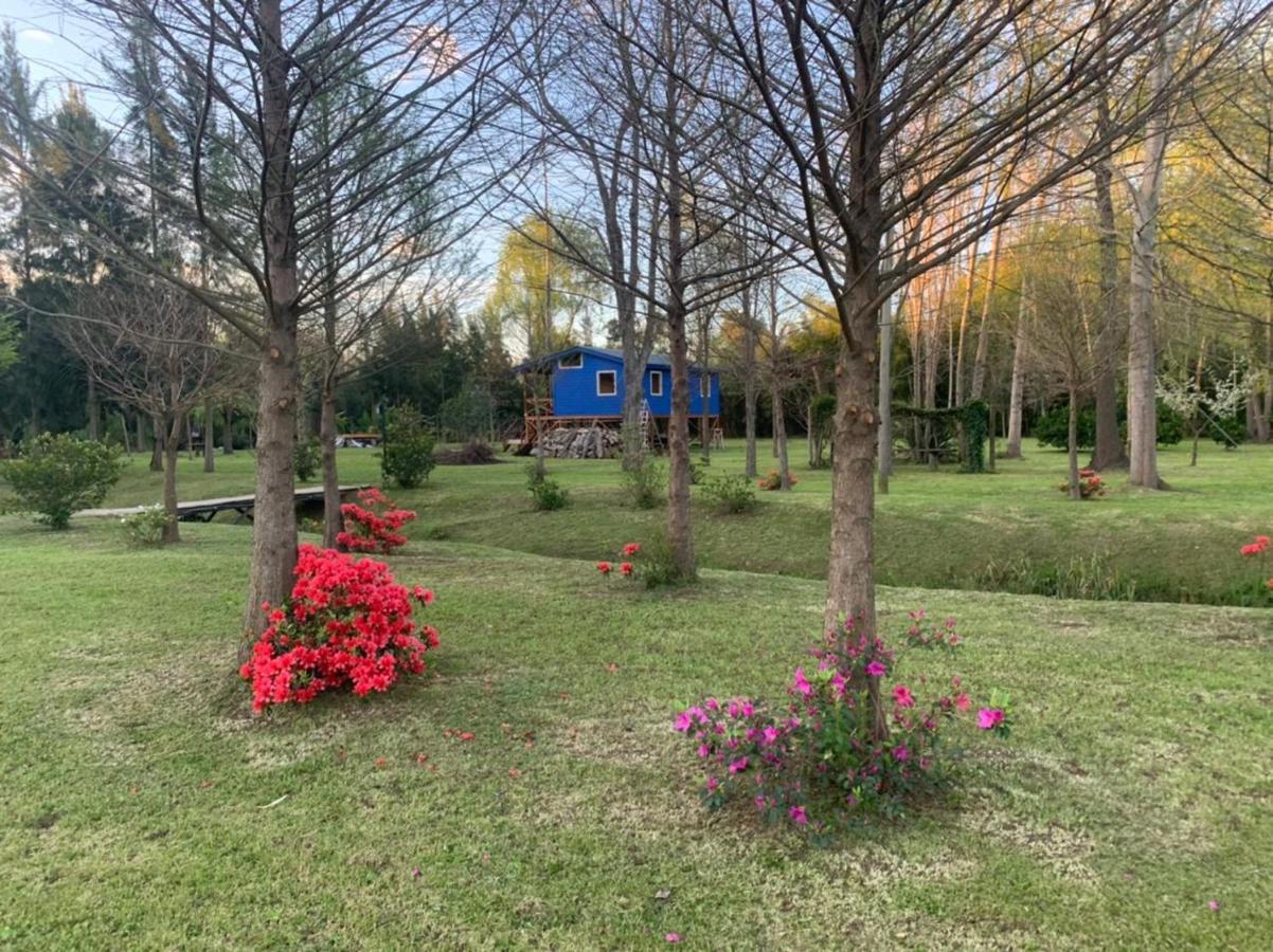 Carpincho Amarillo Holiday home Tigre