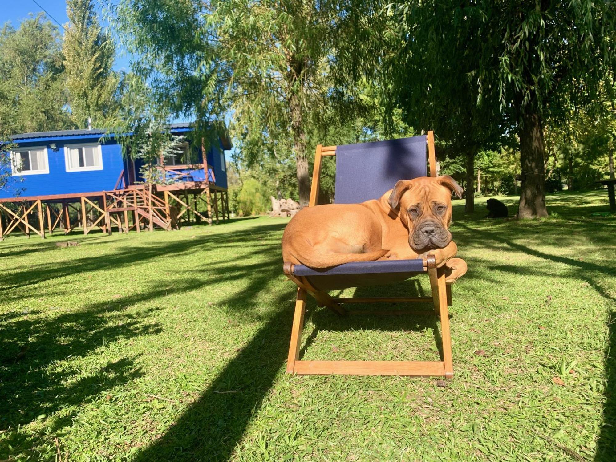 Holiday home Carpincho Amarillo *